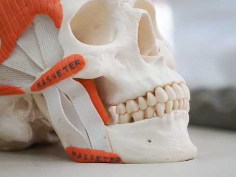 คลินิกรักษารากฟัน ใส่รากฟันเทียม